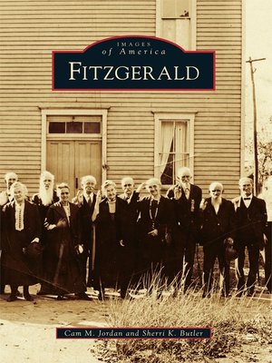 cover image of Fitzgerald